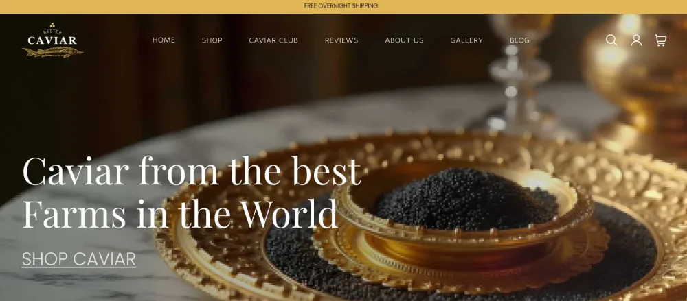 West Palm Beach Web Design Company - Senior-Led Web Design & Development portfolio image 1
